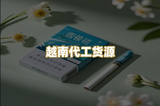 越南代工货源